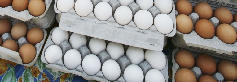 Jajko - wartości odżywcze